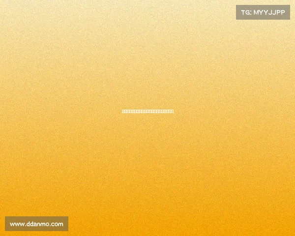 阿莫林赞德赫亚回归称谢什科性格契合团队需求