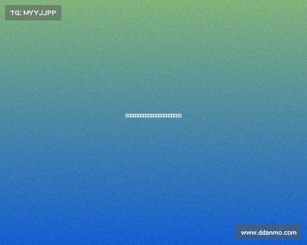 马雷斯卡回应恩佐情绪与雅克松租借问题未曾知晓