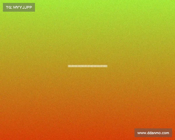 构建以防线为核心的全面安全防护体系提升网络安全防御能力